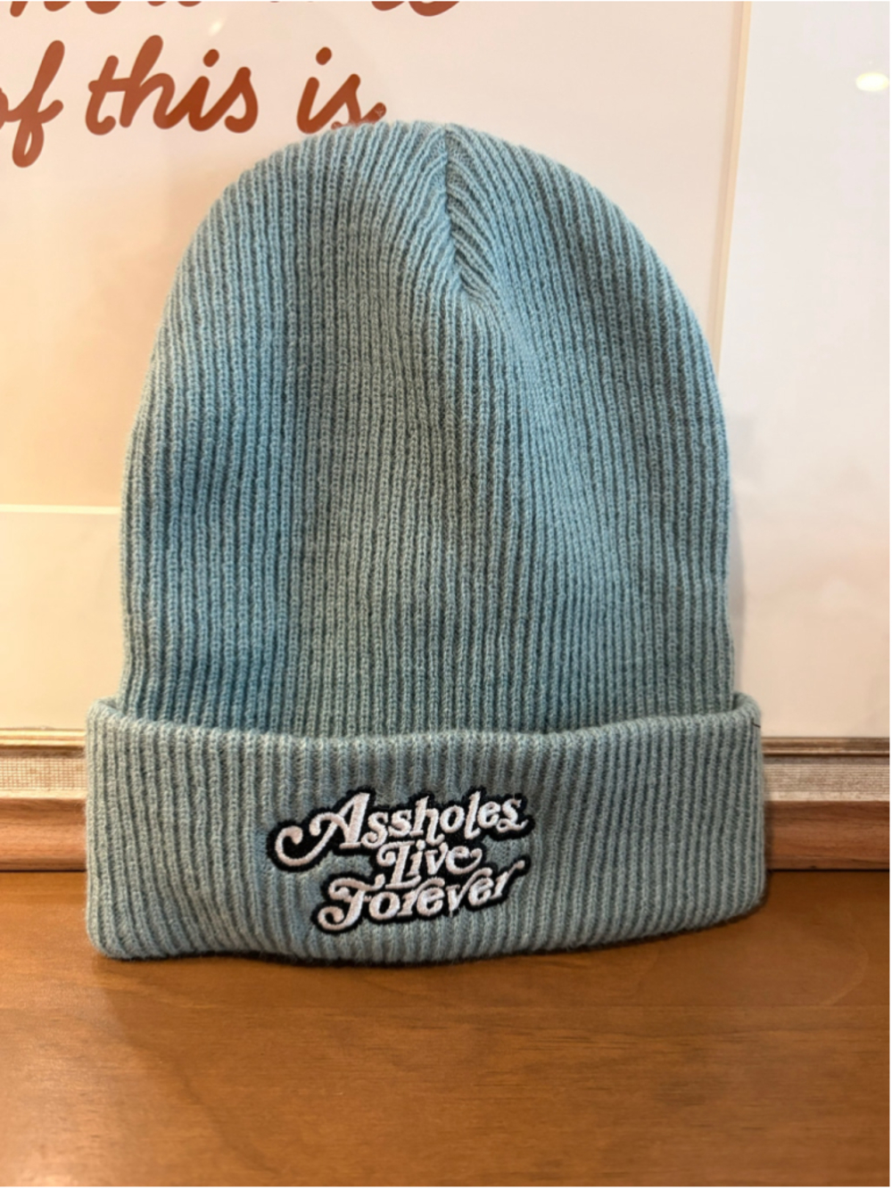 Assholes Live Forever Beanie - Blue